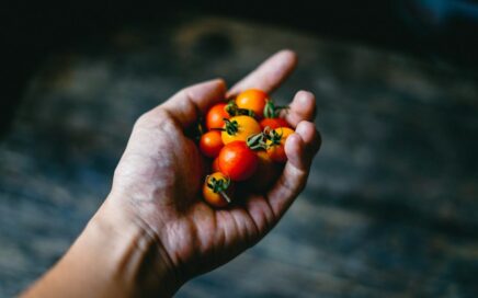Tomaten in einer Hand