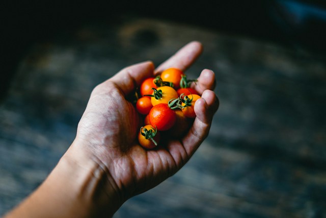 Schnelles Rezept für eine würzige, mediterrane Tomatensoße